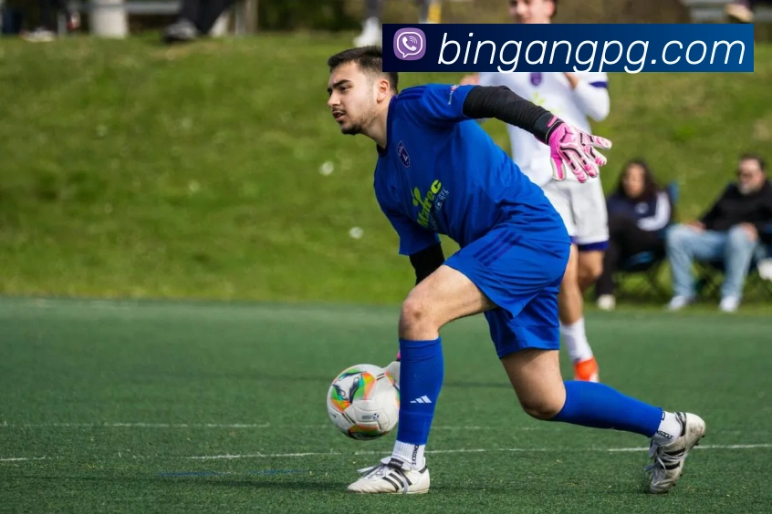 pg电子平台生态图